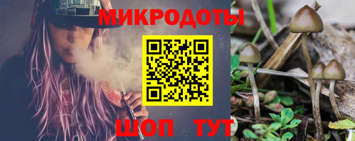 Псилоцибиновые грибы ЛСД Сегежа